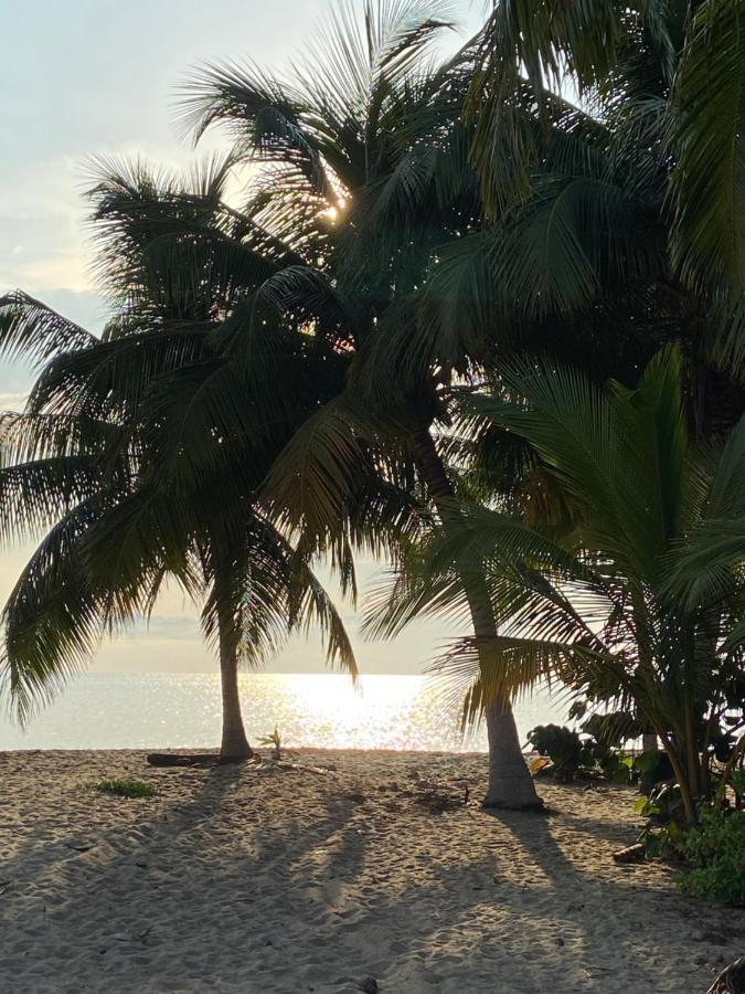 Anda Di Hows Hostel Placencia Exteriör bild