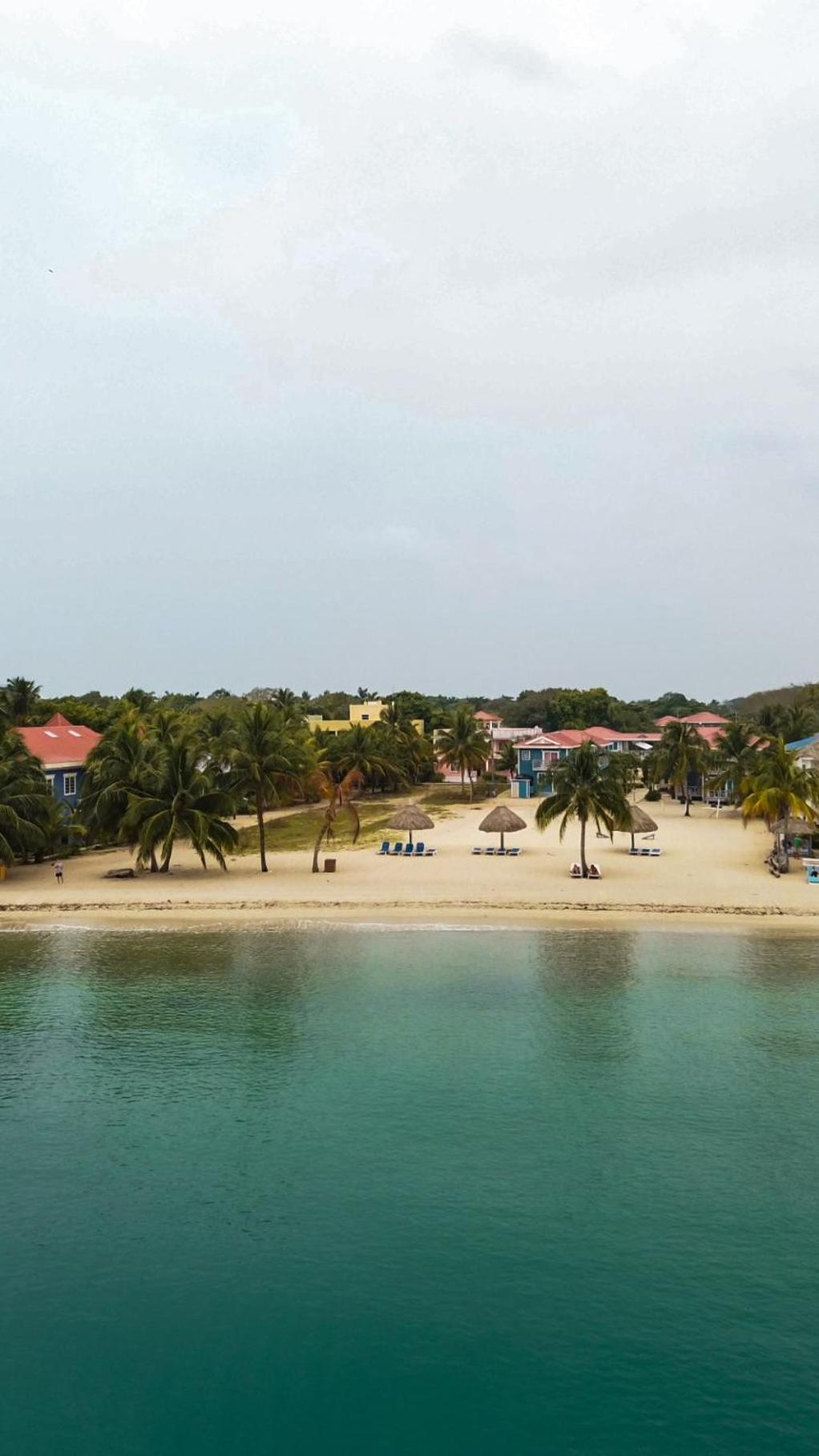 Anda Di Hows Hostel Placencia Exteriör bild