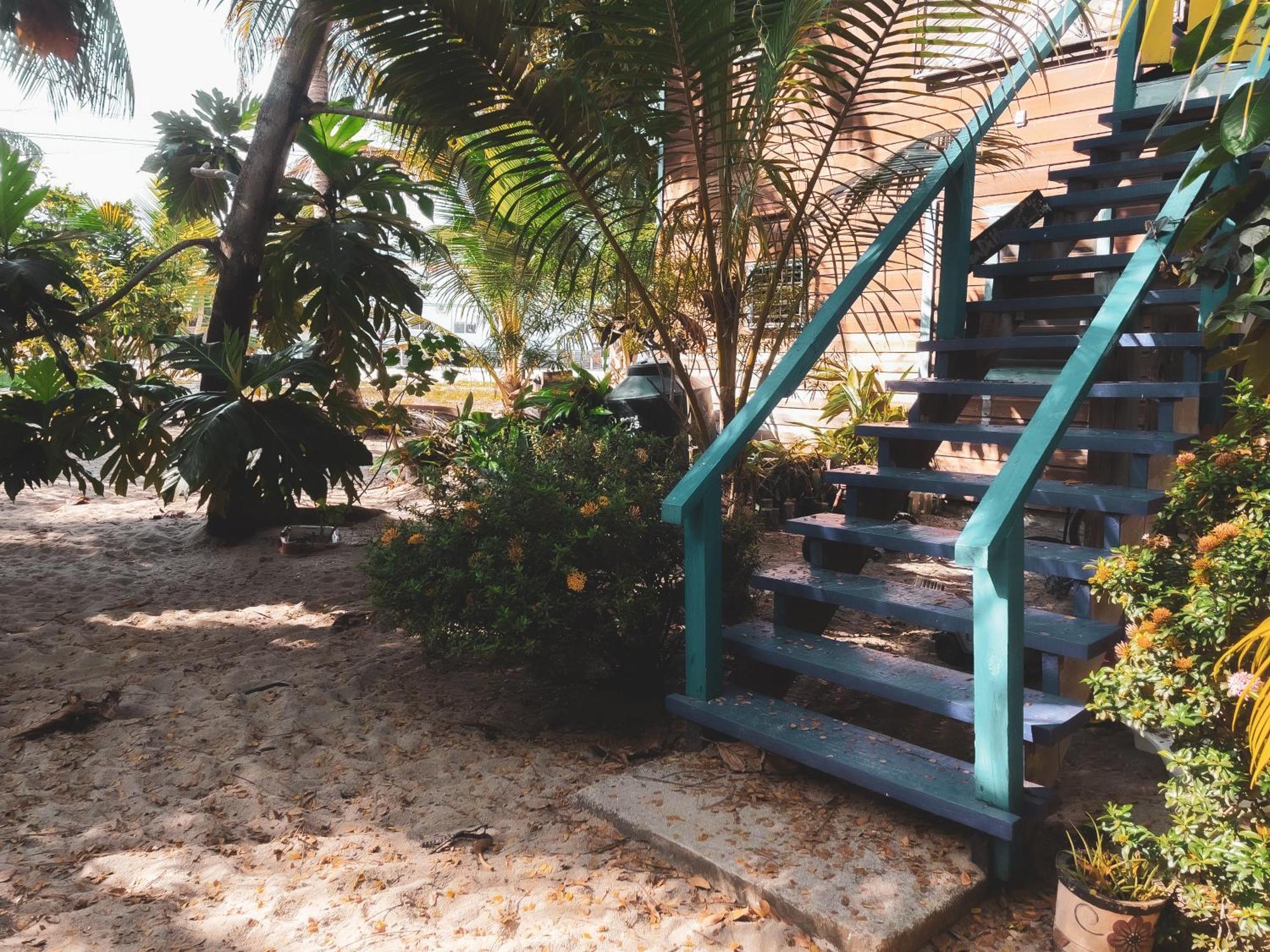 Anda Di Hows Hostel Placencia Exteriör bild