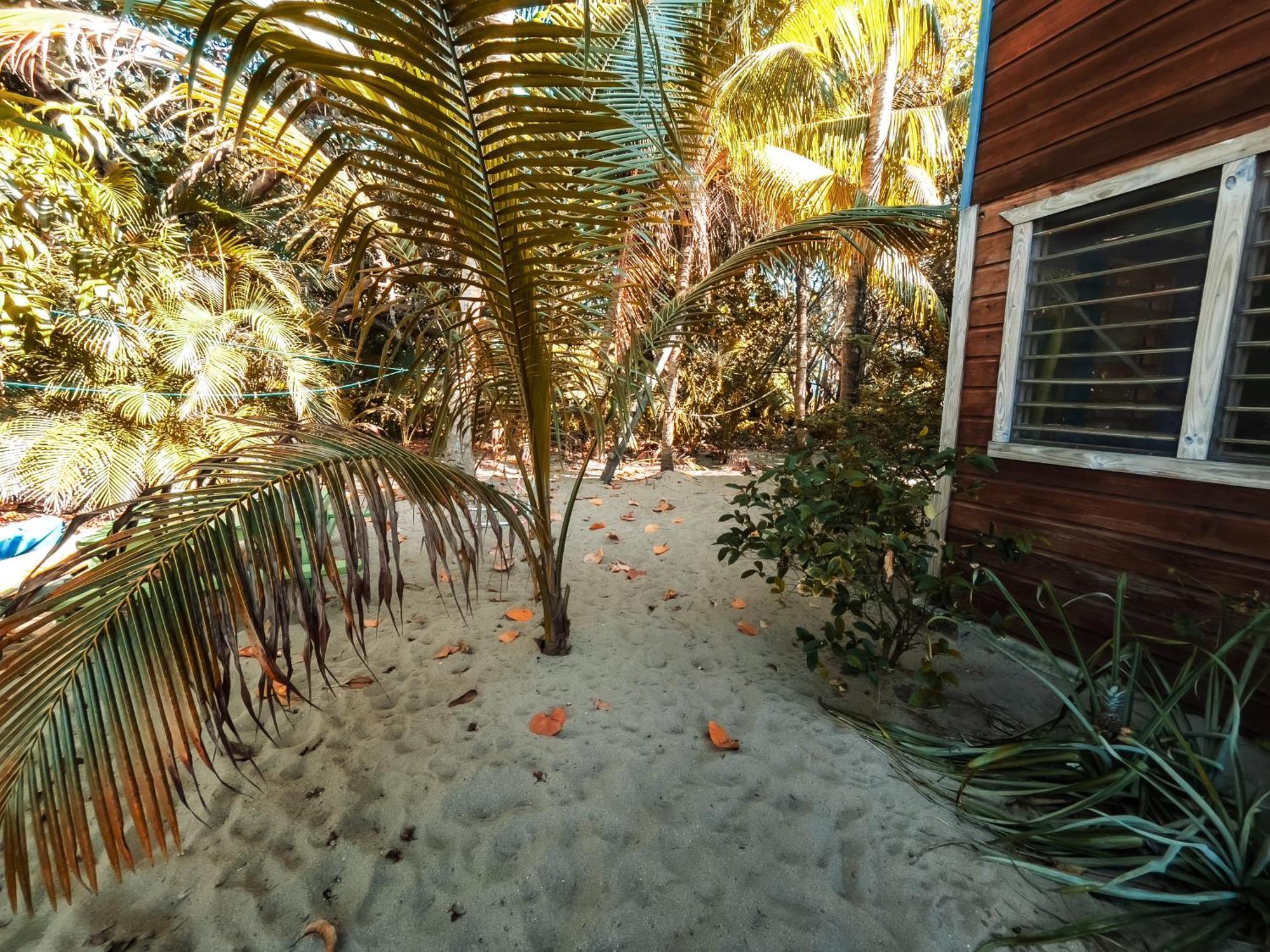 Anda Di Hows Hostel Placencia Exteriör bild