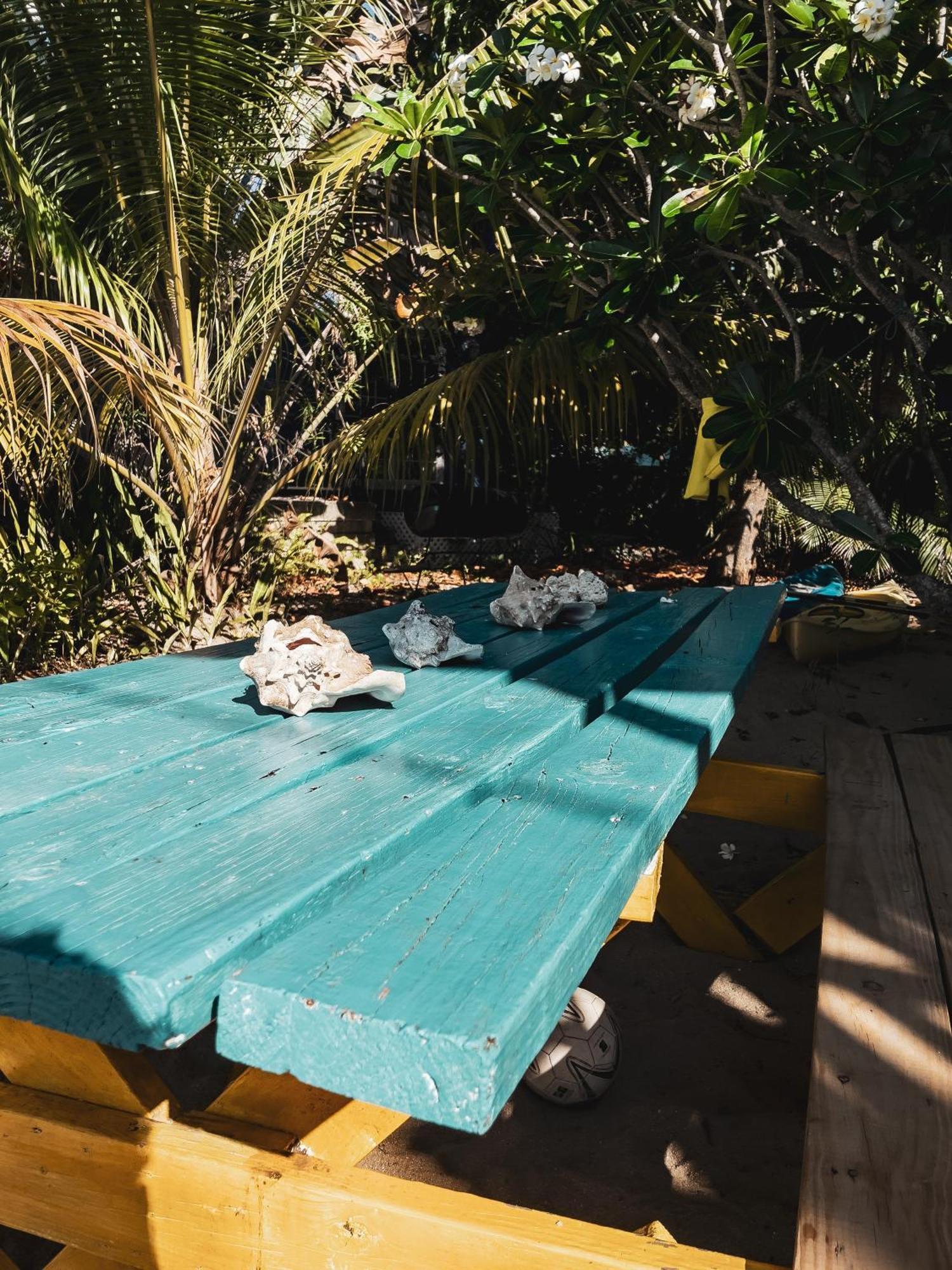 Anda Di Hows Hostel Placencia Exteriör bild