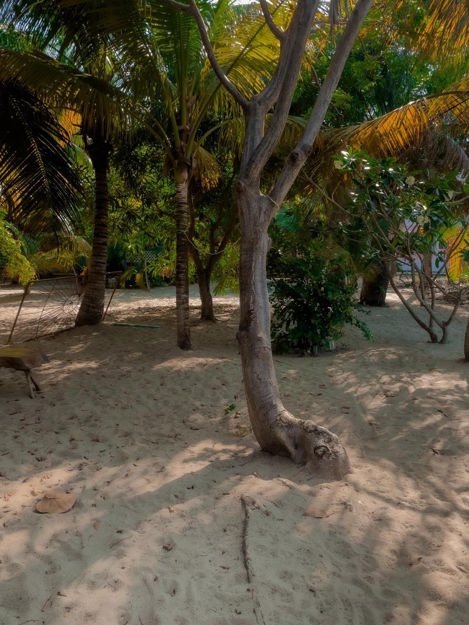 Anda Di Hows Hostel Placencia Exteriör bild