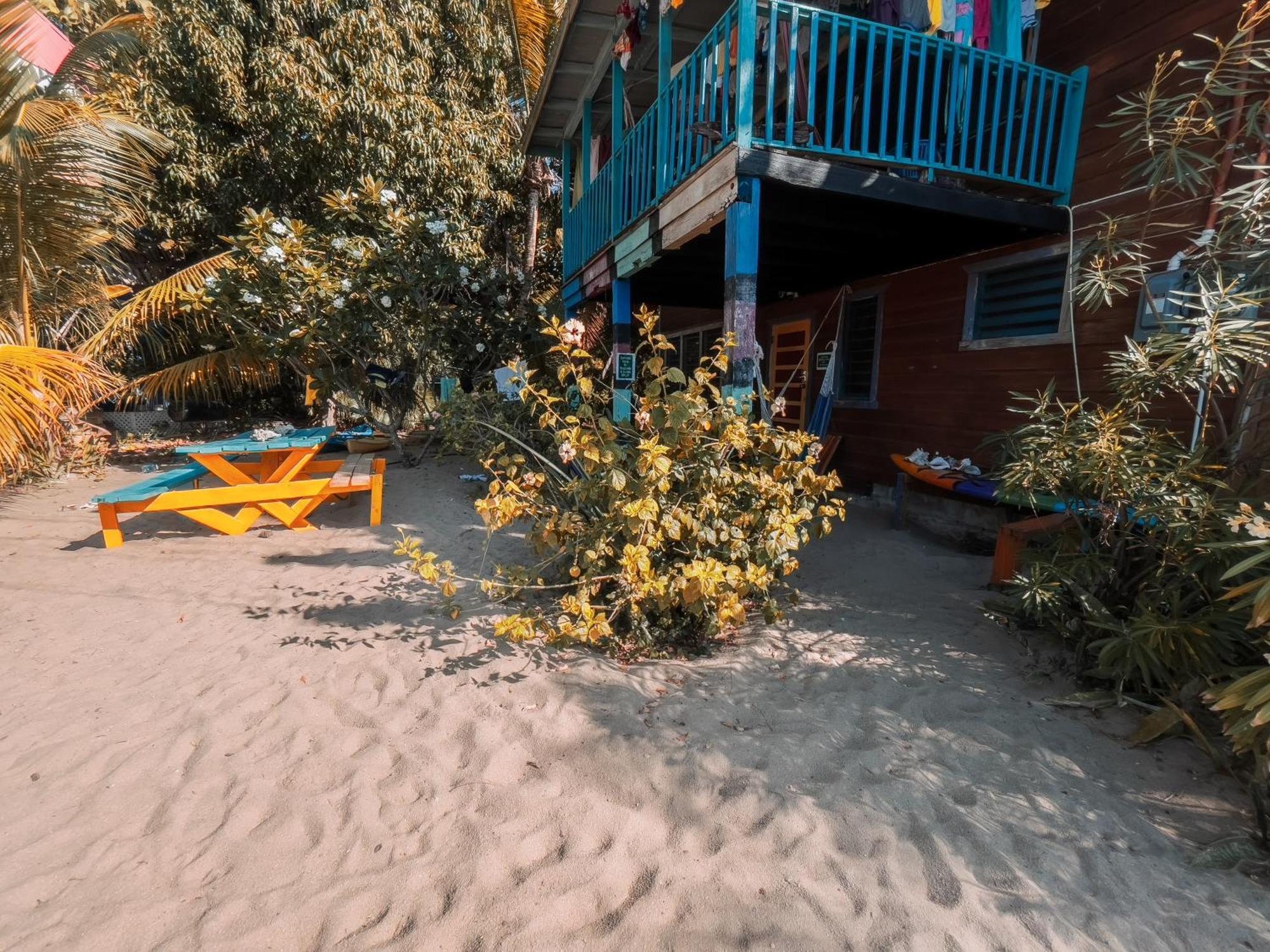 Anda Di Hows Hostel Placencia Exteriör bild