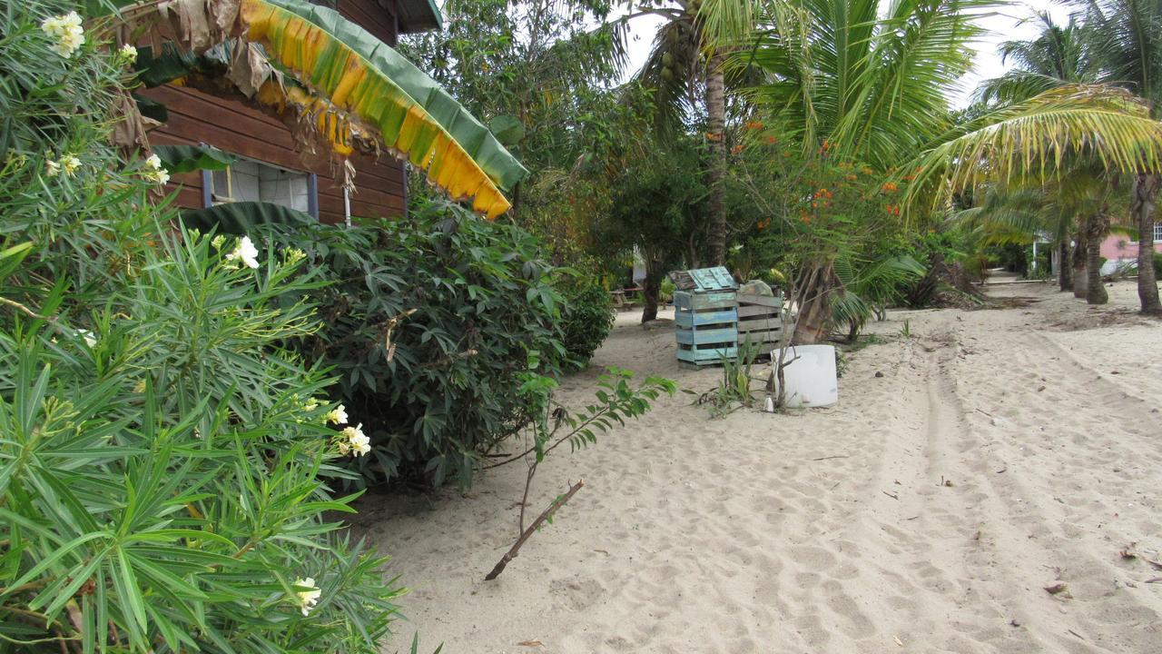 Anda Di Hows Hostel Placencia Exteriör bild