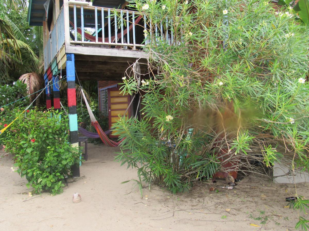 Anda Di Hows Hostel Placencia Exteriör bild
